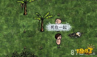 醋栗游戏,醋栗游戏的冒险之旅(图3)