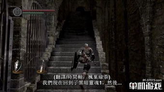 石驴游戏,探索奇幻冒险的虚拟世界(图1)