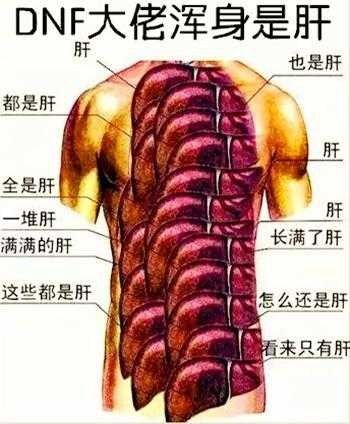 龙虾肝游戏,探索海洋深处的奇幻冒险之旅(图1) 龙虾肝游戏,探索海洋深处的奇幻冒险之旅(图1)