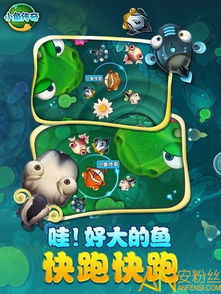 小鱼传奇游戏,奇幻水域的冒险之旅(图1) 小鱼传奇游戏,奇幻水域的冒险之旅(图1)