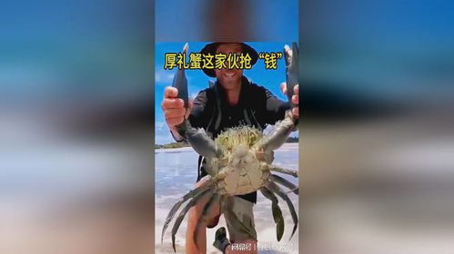 厚礼蟹游戏,探寻海洋深处的奇幻冒险之旅(图3) 厚礼蟹游戏,探寻海洋深处的奇幻冒险之旅(图3)