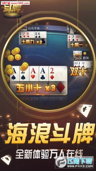 斗牌的游戏,牌技与智谋的巅峰对决(图2)