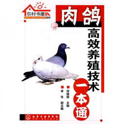 肉鸽系游戏,探索奇幻世界的冒险之旅(图3)