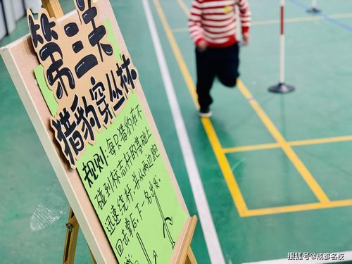 体育游戏认知,从竞技到智慧(图3) 体育游戏认知,从竞技到智慧(图3)
