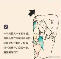 拉筋游戏,健康生活新体验(图1) 拉筋游戏,健康生活新体验(图1)