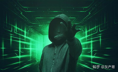 黑客说游戏,揭秘虚拟与现实交织的奥秘(图3) 黑客说游戏,揭秘虚拟与现实交织的奥秘(图3)