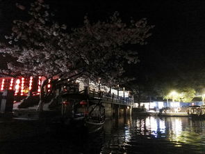 烟雨结婚游戏,一场穿越时空的浪漫婚礼(图2)