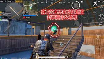 ggd游戏解,探索无尽奇幻世界的冒险之旅(图1) ggd游戏解,探索无尽奇幻世界的冒险之旅(图1)