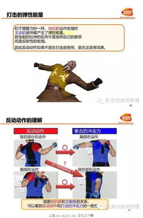 打架游戏原理,揭秘现代打架游戏的法则与技巧(图1) 打架游戏原理,揭秘现代打架游戏的法则与技巧(图1)