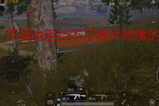 游戏里面苟,苟且偷生的智慧与策略(图1) 游戏里面苟,苟且偷生的智慧与策略(图1)
