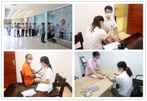 游戏公司体检,揭秘行业健康脉动与未来发展趋势(图2) 游戏公司体检,揭秘行业健康脉动与未来发展趋势(图2)