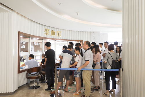 游戏公司体检,揭秘行业健康脉动与未来发展趋势(图1) 游戏公司体检,揭秘行业健康脉动与未来发展趋势(图1)