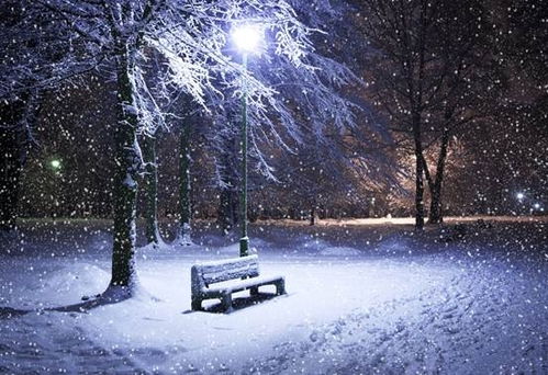 没冬天游戏,穿越时空的冰雪奇缘(图1) 没冬天游戏,穿越时空的冰雪奇缘(图1)