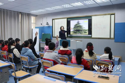 课堂猜游戏,智慧碰撞的课堂新体验(图1) 课堂猜游戏,智慧碰撞的课堂新体验(图1)