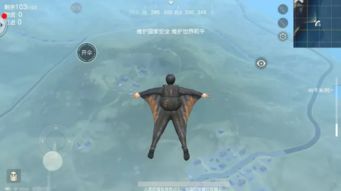 网易跳伞游戏,空中竞技的极限挑战之旅(图3) 网易跳伞游戏,空中竞技的极限挑战之旅(图3)