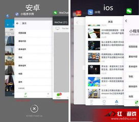 大家一起来找不同游戏手机版下载 (图3) 大家一起来找不同游戏手机版下载 (图3)