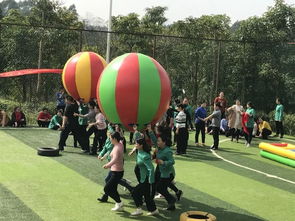 户外游戏大球,大球游戏带来的无限欢乐(图1) 户外游戏大球,大球游戏带来的无限欢乐(图1)