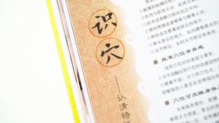 游戏学经络,探索虚拟世界中的生命能量之旅(图2) 游戏学经络,探索虚拟世界中的生命能量之旅(图2)