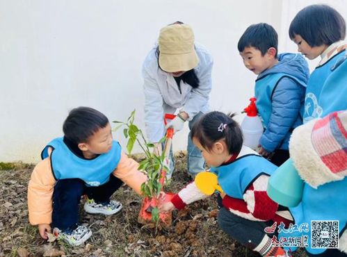 植树主题游戏,植树游戏乐享生态之旅”(图2) 植树主题游戏,植树游戏乐享生态之旅”(图2)