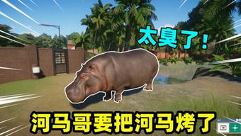 游戏喂河马,一场别开生面的游戏冒险之旅(图2) 游戏喂河马,一场别开生面的游戏冒险之旅(图2)