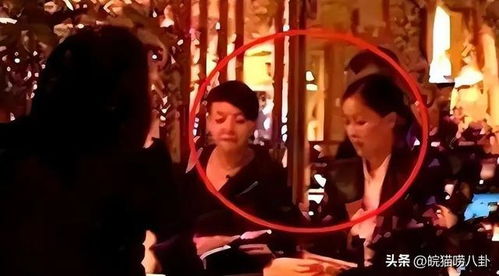 明星赌游戏,明星们的豪赌风云(图1) 明星赌游戏,明星们的豪赌风云(图1)
