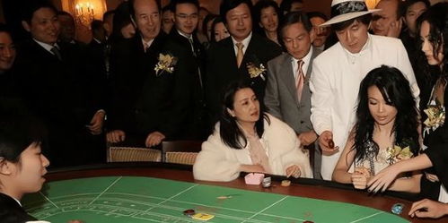 明星赌游戏,明星们的豪赌风云(图2) 明星赌游戏,明星们的豪赌风云(图2)