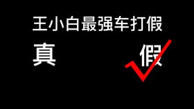 游戏打假王,揭秘游戏行业背后的真相与正义之战(图1) 游戏打假王,揭秘游戏行业背后的真相与正义之战(图1)