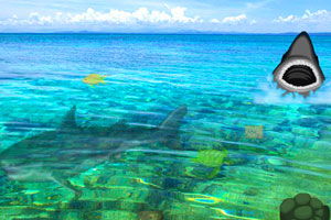 海滩小岛游戏,一场奇幻冒险之旅(图3)