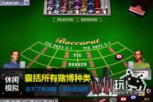 赌场游戏推荐,体验刺激与技巧并存的娱乐盛宴(图1)