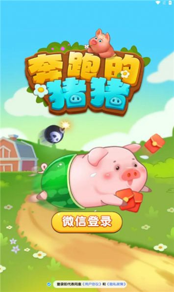 猪猪看游戏,解锁欢乐无限(图1) 猪猪看游戏,解锁欢乐无限(图1)