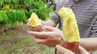 挖窑游戏,揭秘古代窑洞的秘密之旅(图2) 挖窑游戏,揭秘古代窑洞的秘密之旅(图2)