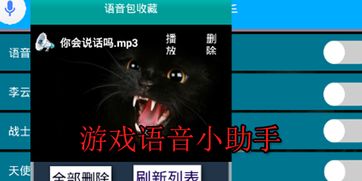 语音游戏助手,开启全新互动娱乐体验(图3) 语音游戏助手,开启全新互动娱乐体验(图3)