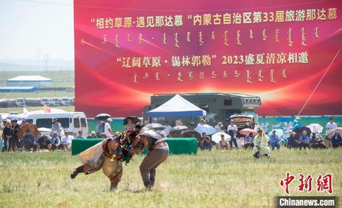 草原游戏名,探寻自然与欢乐的绿色天地(图2) 草原游戏名,探寻自然与欢乐的绿色天地(图2)