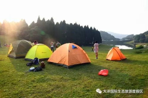 沈阳露营游戏,探索自然与欢乐的户外盛宴(图2)