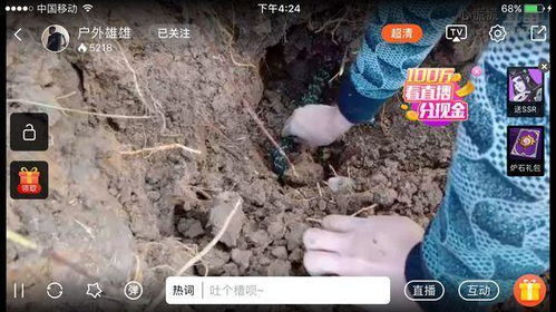 蛇出洞游戏,惊险刺激的迷宫探险之旅(图2)