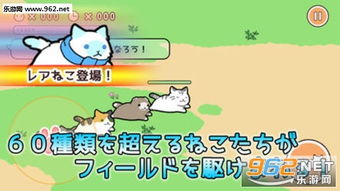 猫咪公园游戏,开启欢乐互动之旅(图2) 猫咪公园游戏,开启欢乐互动之旅(图2)