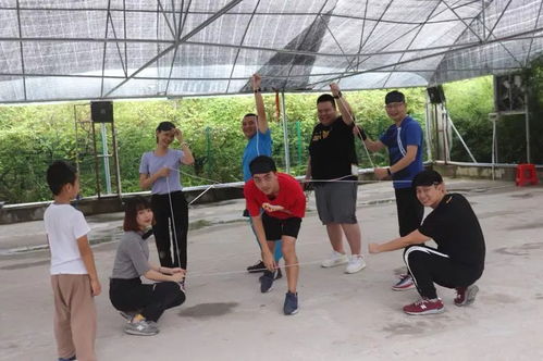 团建游戏色,色彩斑斓的团建游戏盛宴”(图1) 团建游戏色,色彩斑斓的团建游戏盛宴”(图1)