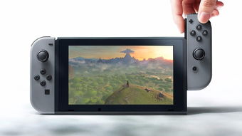 switch游戏保定,Switch游戏保定之旅(图1) switch游戏保定,Switch游戏保定之旅(图1)