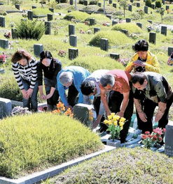 农耕民俗游戏,传承千年的田野乐趣(图1)