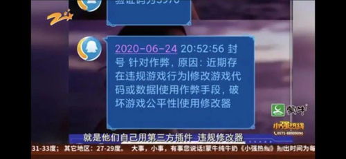 网游戏代打,灰色地带下的利益与风险(图3)