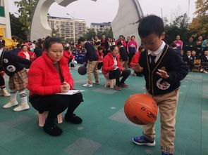 拍球个人游戏,探索个人游戏无限魅力(图3)