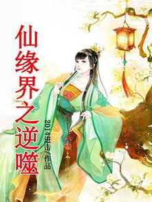 着迷小说游戏,挑战极限的冒险之旅(图3)