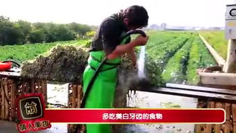 幼游戏视频,寓教于乐的童年时光(图3) 幼游戏视频,寓教于乐的童年时光(图3)