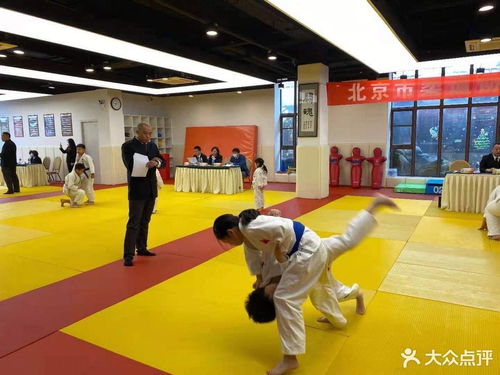 柔道馆游戏,挑战极限的竞技之旅(图3) 柔道馆游戏,挑战极限的竞技之旅(图3)