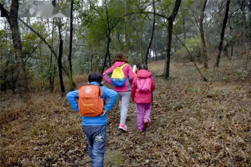 雨户外游戏,户外游戏新体验(图1)