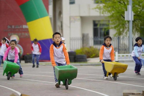安吉游戏化,让孩子在快乐中学习成长(图3) 安吉游戏化,让孩子在快乐中学习成长(图3)