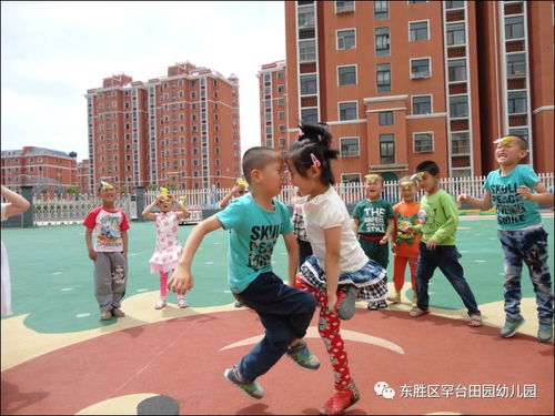 滚轮腰游戏,挑战极限的健身新体验(图2)