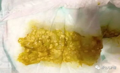 萌犬便便便游戏破解版(图1) 萌犬便便便游戏破解版(图1)