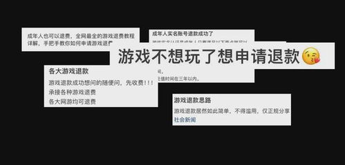 游戏不退费,揭秘行业潜规则与消费者权益保护(图2) 游戏不退费,揭秘行业潜规则与消费者权益保护(图2)