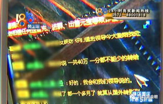 郑先生游戏,探索虚拟世界的奇幻旅程(图2) 郑先生游戏,探索虚拟世界的奇幻旅程(图2)